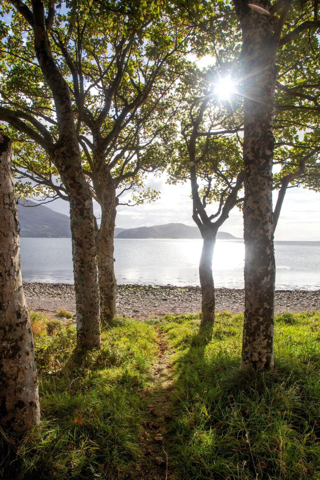 Ash, Birch And Rowan Self Catering Cabins Onich Bagian luar foto
